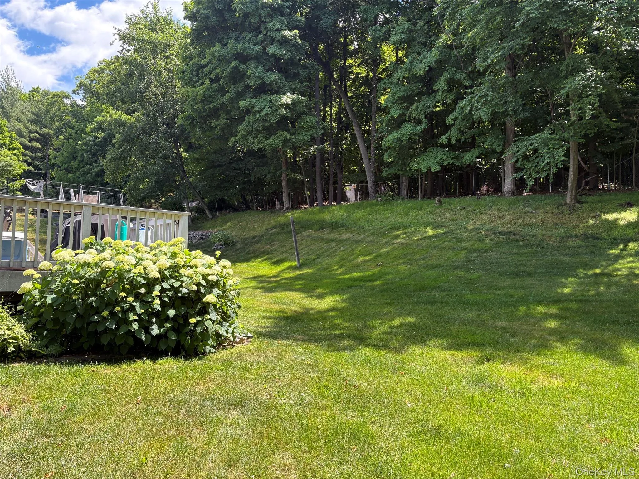 Beautiful backyard with fence and woods beyond. Beautiful backyard with fence and woods beyond.