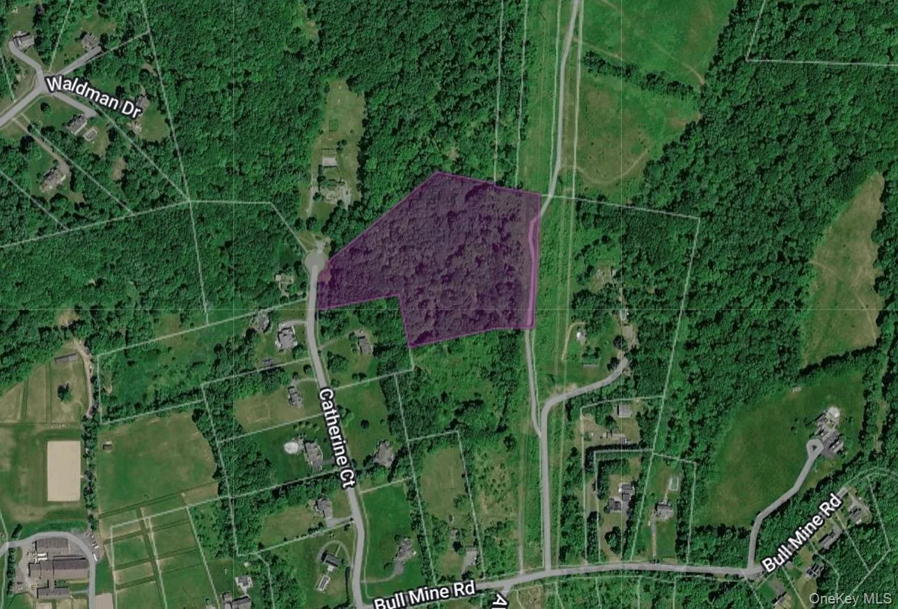 Catherine Ct, Blooming Grove, NY, ,Land,For Rent,Catherine Ct,0,1015821 Catherine Ct, Blooming Grove, NY, ,Land,For Rent,Catherine Ct,0,1015821