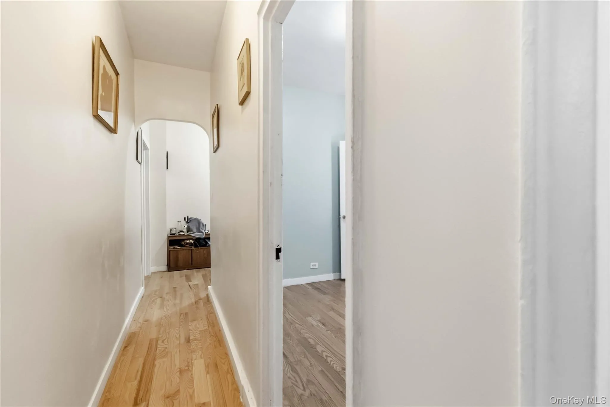 2962 Decatur Avenue, New York, NY, 2 Bedrooms Bedrooms, 5 Rooms Rooms,1 BathroomBathrooms,Residential,For Rent,Decatur,0,1015851 2962 Decatur Avenue, New York, NY, 2 Bedrooms Bedrooms, 5 Rooms Rooms,1 BathroomBathrooms,Residential,For Rent,Decatur,0,1015851
