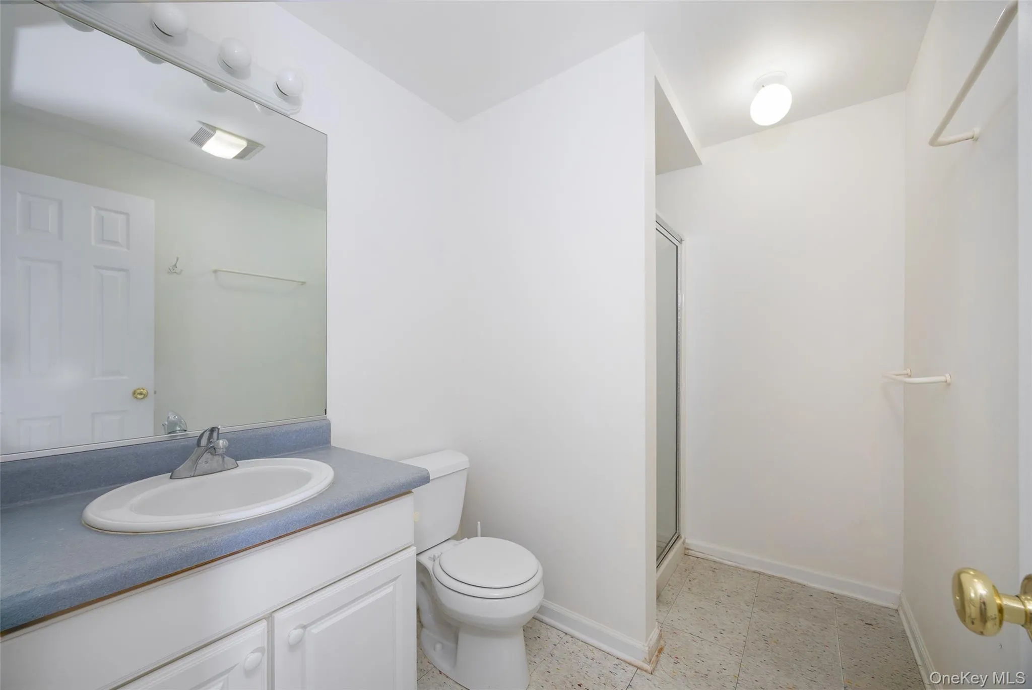 Basement level full bathroom. Basement level full bathroom.