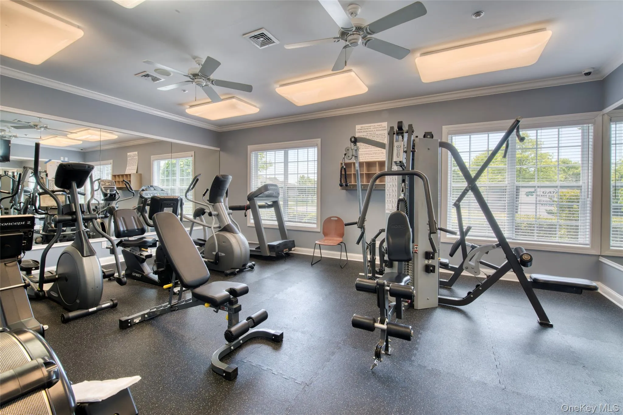 Gym Gym
