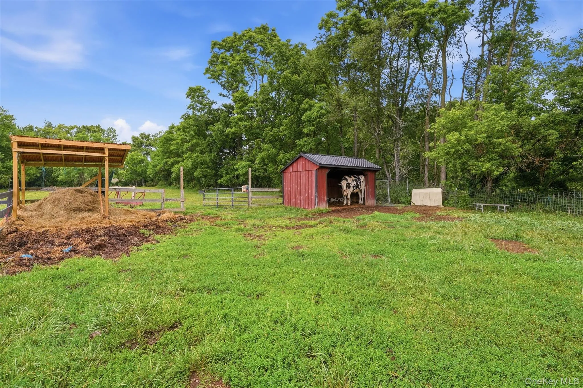 315 Bellvale Lakes Road, Warwick (town), NY, 4 Bedrooms Bedrooms, 11 Rooms Rooms,2 BathroomsBathrooms,Residential,For Rent,Bellvale Lakes,0,1016008 315 Bellvale Lakes Road, Warwick (town), NY, 4 Bedrooms Bedrooms, 11 Rooms Rooms,2 BathroomsBathrooms,Residential,For Rent,Bellvale Lakes,0,1016008