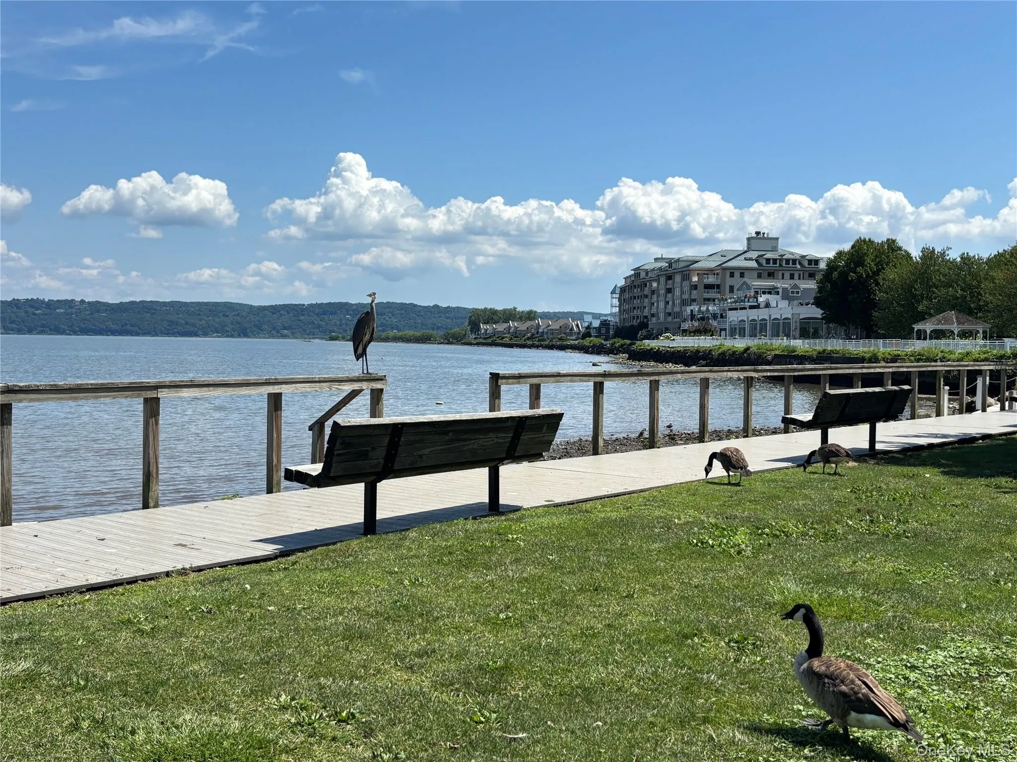 3 Lawrence Park Drive, Orangetown, NY, 1 Bedroom Bedrooms, 4 Rooms Rooms,1 BathroomBathrooms,Residential,For Rent,Lawrence Park,0,1016088 3 Lawrence Park Drive, Orangetown, NY, 1 Bedroom Bedrooms, 4 Rooms Rooms,1 BathroomBathrooms,Residential,For Rent,Lawrence Park,0,1016088