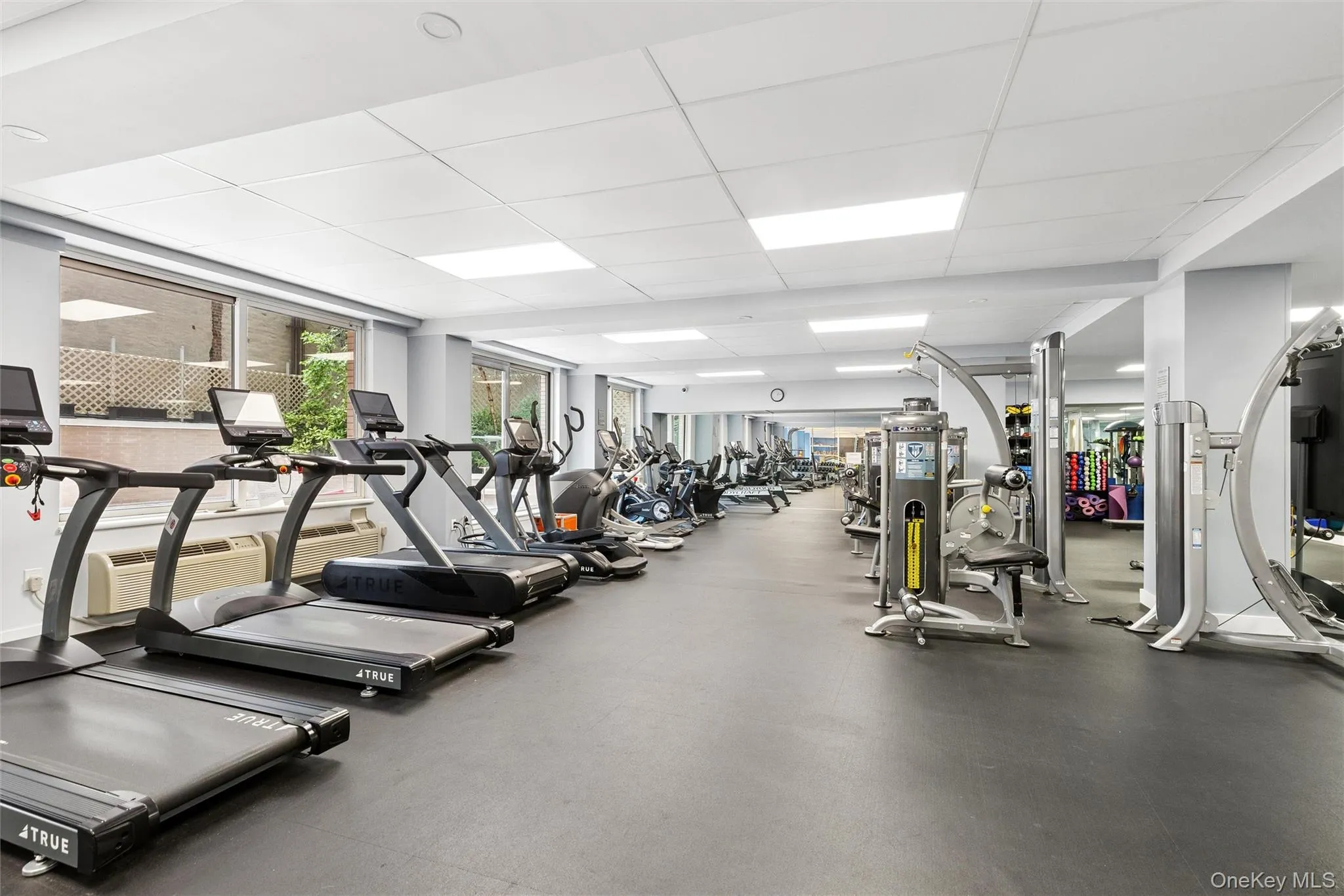 170 87th Street, New York, NY, 1 Bedroom Bedrooms, 5 Rooms Rooms,2 BathroomsBathrooms,Residential,For Rent,87th,0,1016095 170 87th Street, New York, NY, 1 Bedroom Bedrooms, 5 Rooms Rooms,2 BathroomsBathrooms,Residential,For Rent,87th,0,1016095