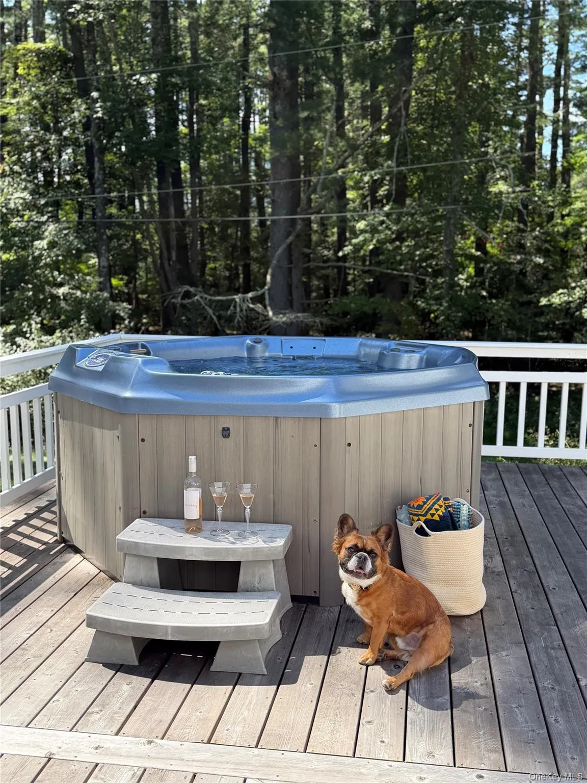 388-390 Wittenberg Road, Woodstock, NY, 5 Bedrooms Bedrooms, 14 Rooms Rooms,4 BathroomsBathrooms,Residential,For Rent,Wittenberg,0,1016096 388-390 Wittenberg Road, Woodstock, NY, 5 Bedrooms Bedrooms, 14 Rooms Rooms,4 BathroomsBathrooms,Residential,For Rent,Wittenberg,0,1016096