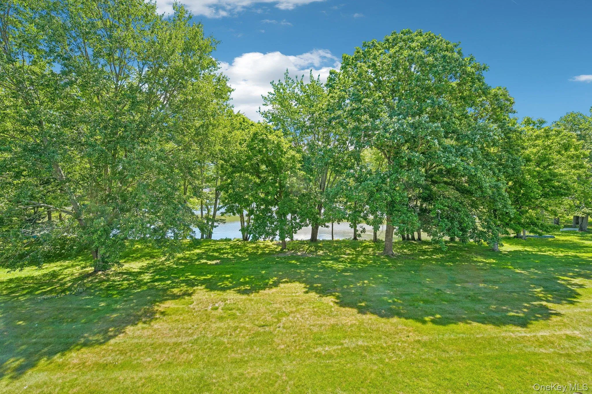 174 Eagleton Drive, Chester Town, NY, 3 Bedrooms Bedrooms, 7 Rooms Rooms,2 BathroomsBathrooms,Residential,For Rent,Eagleton,0,1016117 174 Eagleton Drive, Chester Town, NY, 3 Bedrooms Bedrooms, 7 Rooms Rooms,2 BathroomsBathrooms,Residential,For Rent,Eagleton,0,1016117