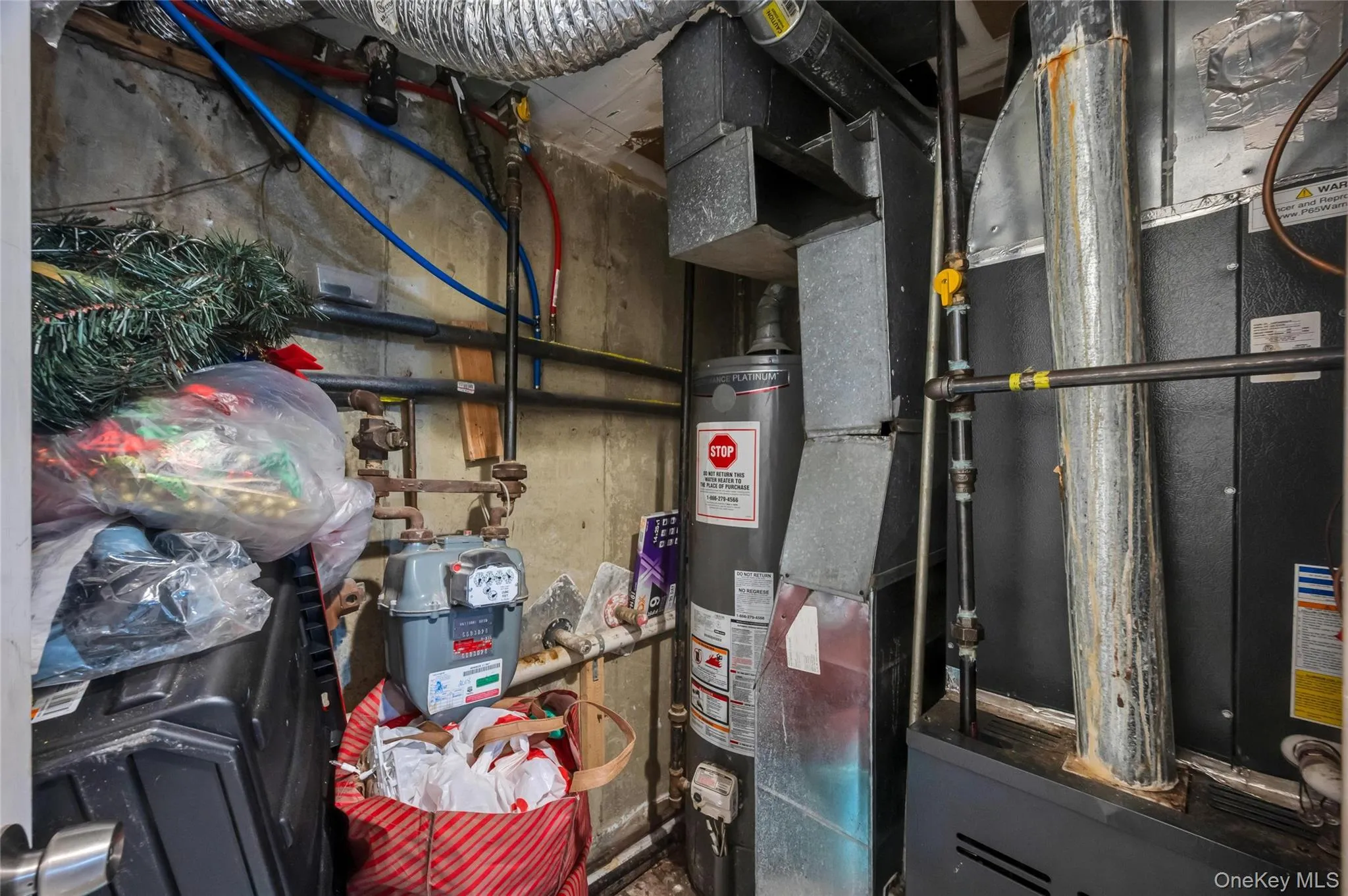 529 Powell Street, New York, NY, 3 Bedrooms Bedrooms, 9 Rooms Rooms,3 BathroomsBathrooms,Residential,For Rent,Powell,0,KEY1016118 529 Powell Street, New York, NY, 3 Bedrooms Bedrooms, 9 Rooms Rooms,3 BathroomsBathrooms,Residential,For Rent,Powell,0,KEY1016118