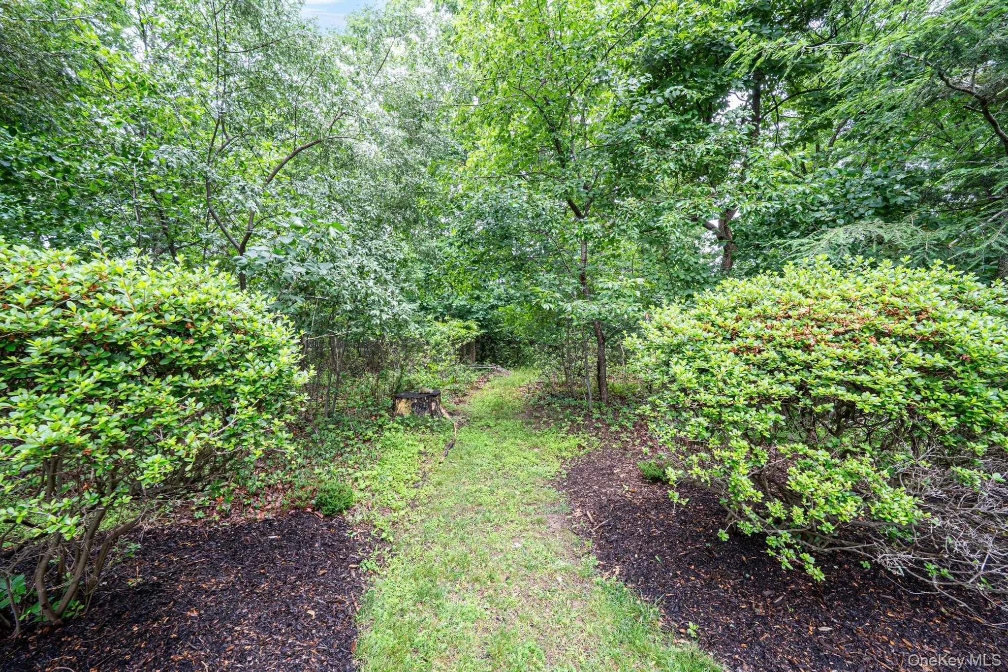3 Liberty Lane, Brookhaven, NY, 3 Bedrooms Bedrooms, 8 Rooms Rooms,2 BathroomsBathrooms,Residential,For Rent,Liberty,0,KEY1016132 3 Liberty Lane, Brookhaven, NY, 3 Bedrooms Bedrooms, 8 Rooms Rooms,2 BathroomsBathrooms,Residential,For Rent,Liberty,0,KEY1016132