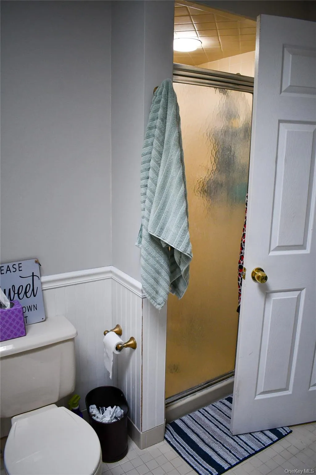 Shower enclosure with frosted glass door, adjacent to a toilet and wainscoting Shower enclosure with frosted glass door, adjacent to a toilet and wainscoting