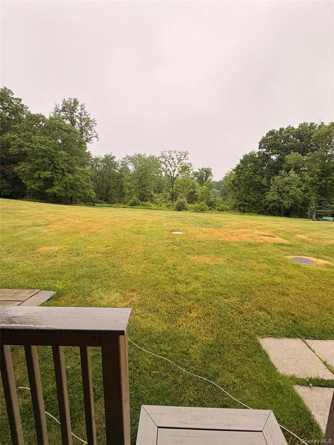 Expansive backyard featuring a large grassy area, mature trees bordering the property, a wooden deck railing, and stepping stone pavers Expansive backyard featuring a large grassy area, mature trees bordering the property, a wooden deck railing, and stepping stone pavers