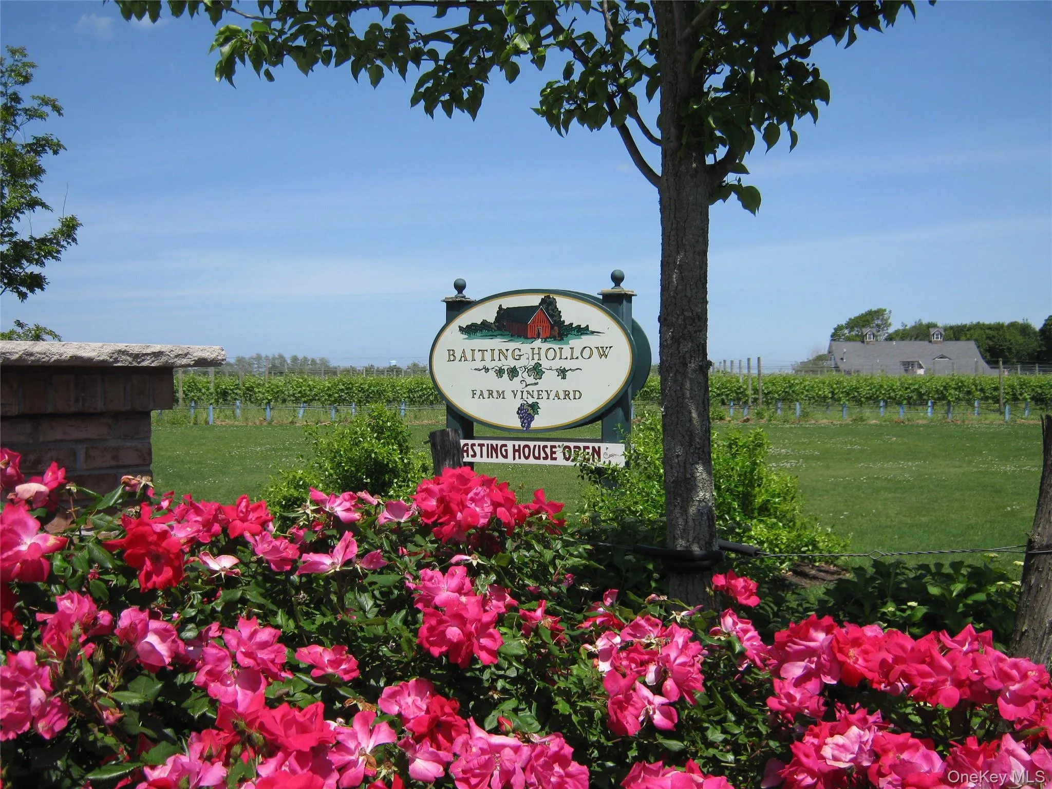 Baiting Hollow Vineyards Baiting Hollow Vineyards