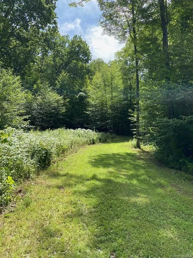 Mile High Road, Taghkanic, NY, ,Land,For Rent,Mile High,0,1016157 Mile High Road, Taghkanic, NY, ,Land,For Rent,Mile High,0,1016157