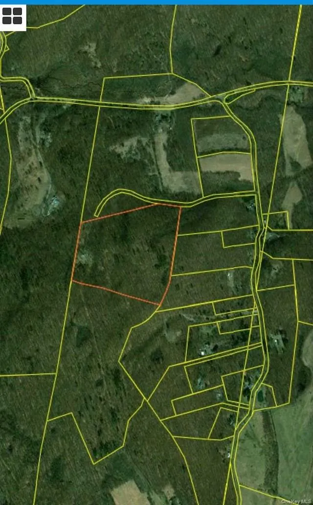 Mile High Road, Taghkanic, NY, ,Land,For Rent,Mile High,0,1016157 Mile High Road, Taghkanic, NY, ,Land,For Rent,Mile High,0,1016157