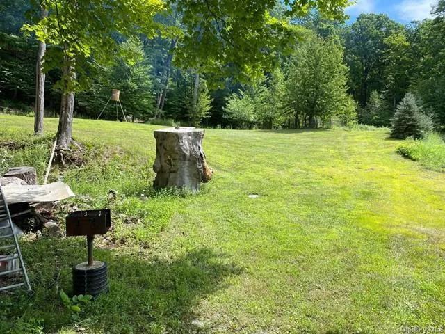 Mile High Road, Taghkanic, NY, ,Land,For Rent,Mile High,0,1016157 Mile High Road, Taghkanic, NY, ,Land,For Rent,Mile High,0,1016157