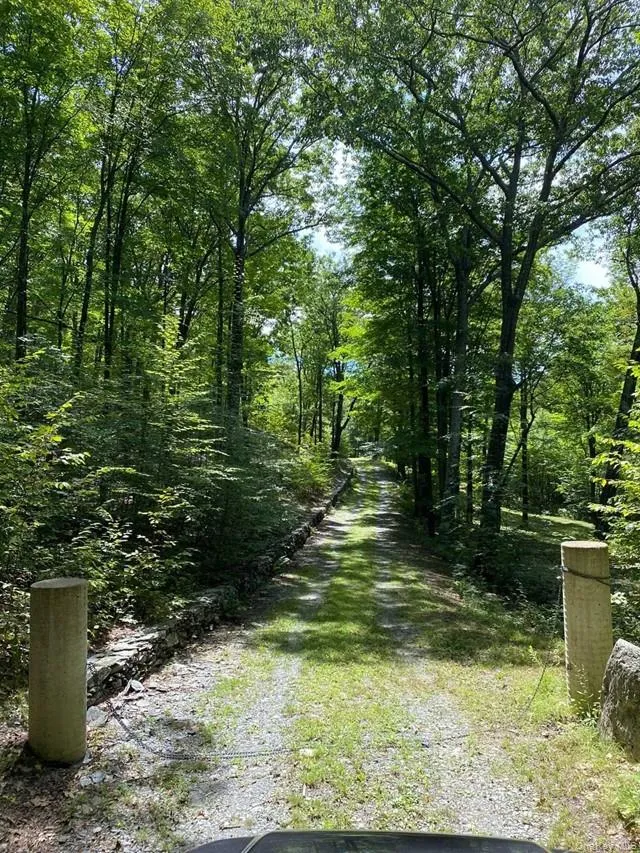 Mile High Road, Taghkanic, NY, ,Land,For Rent,Mile High,0,1016157 Mile High Road, Taghkanic, NY, ,Land,For Rent,Mile High,0,1016157