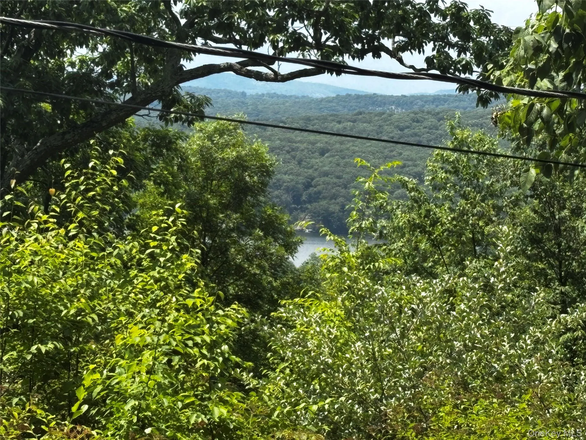 A beautiful, serene spot! A beautiful, serene spot!