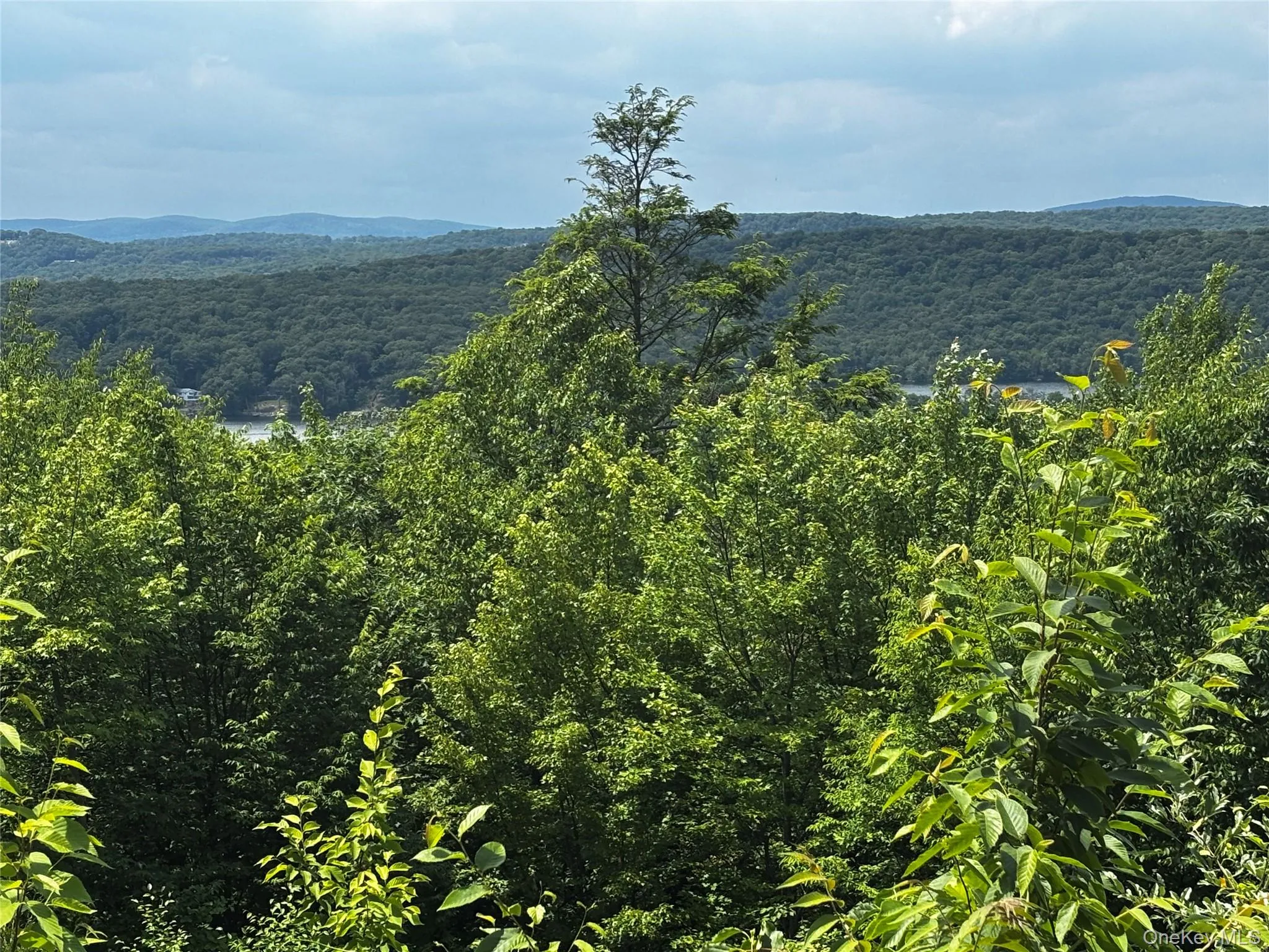 Feel surrounded by nature! Feel surrounded by nature!