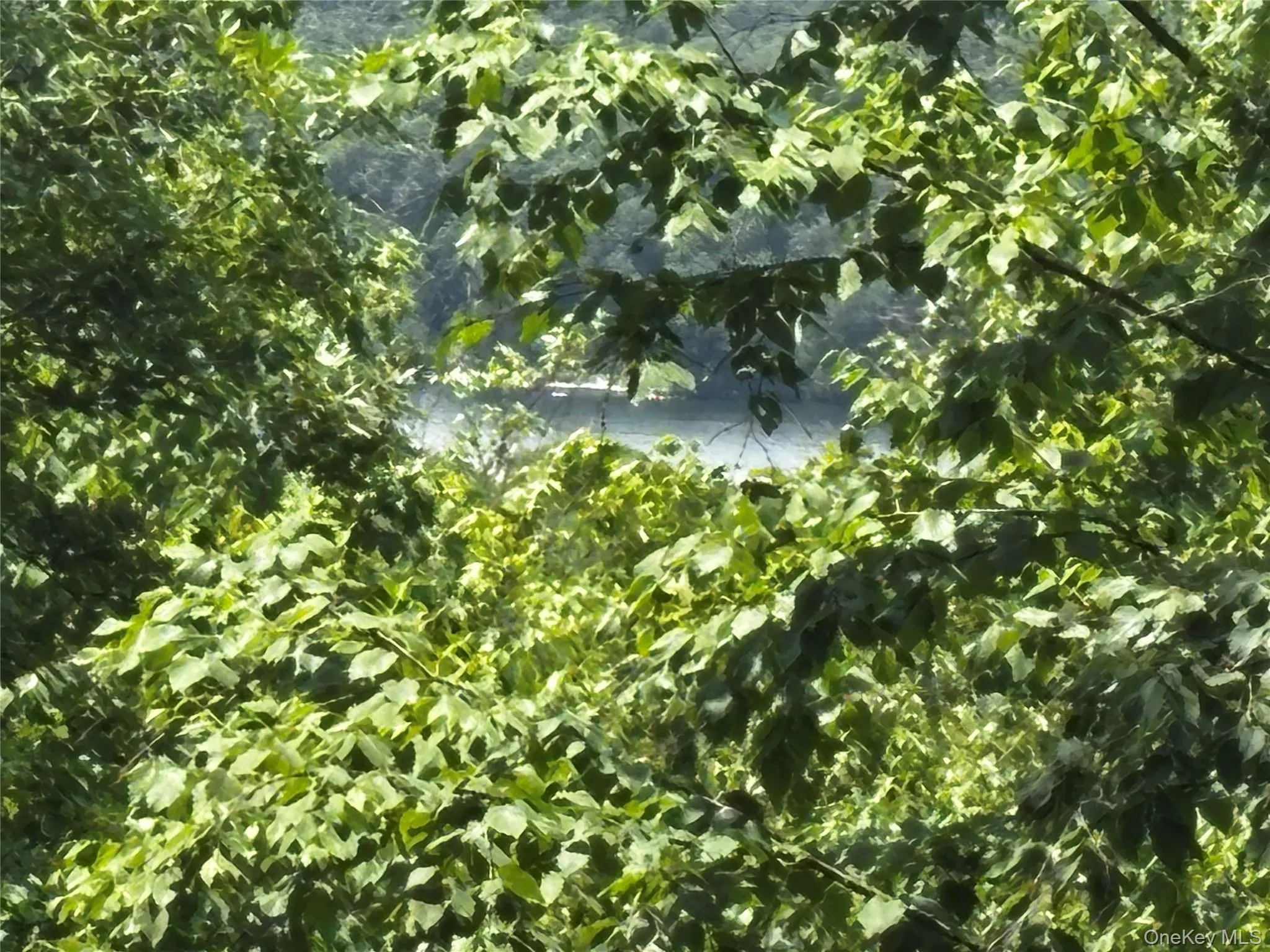 Clear a few more trees and the view of the lake would be amazing! Clear a few more trees and the view of the lake would be amazing!
