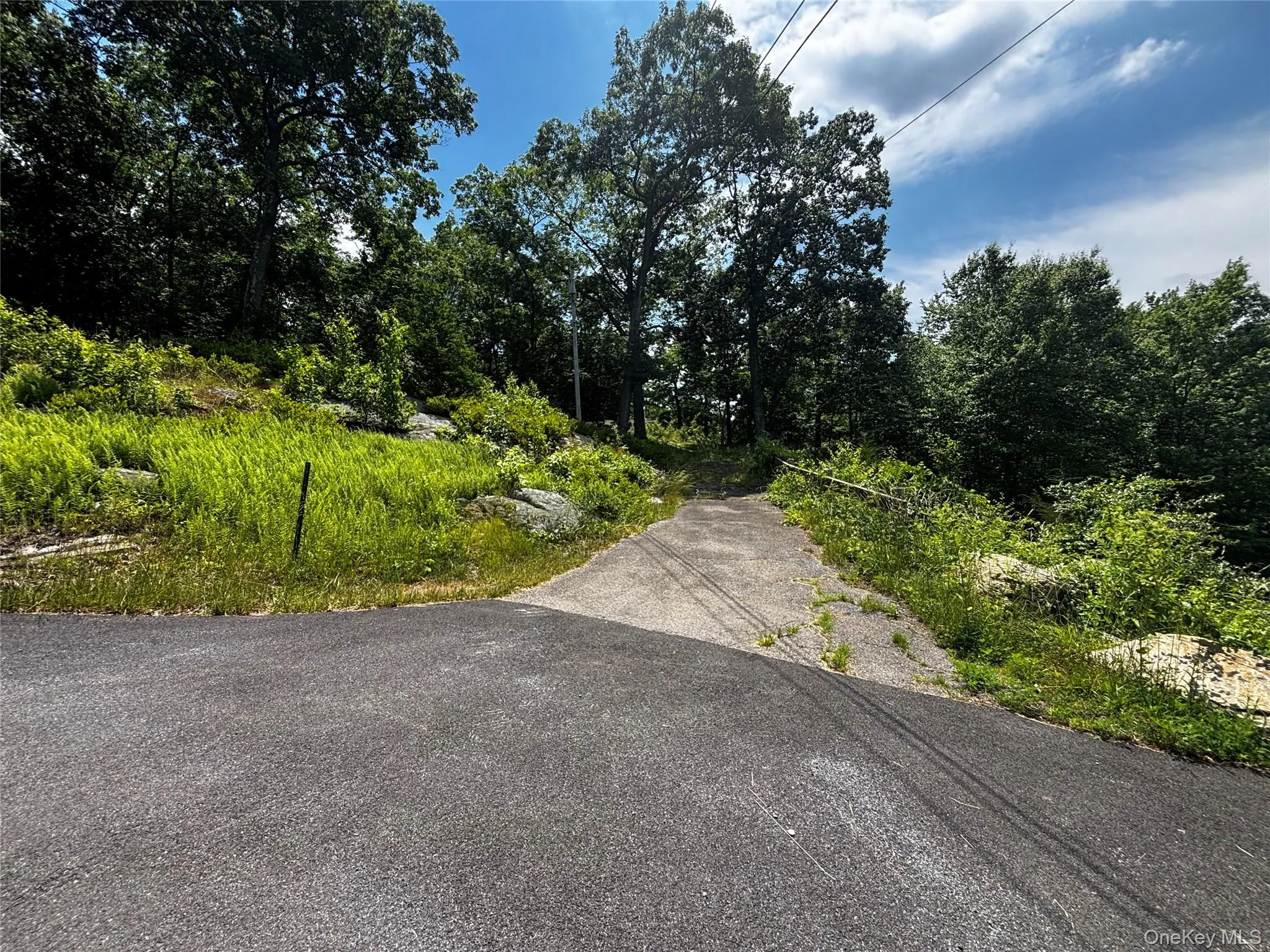 Driveway continues up to the left to the neighbor's property far behind. Straight ahead is the entry to 560. Driveway continues up to the left to the neighbor's property far behind. Straight ahead is the entry to 560.