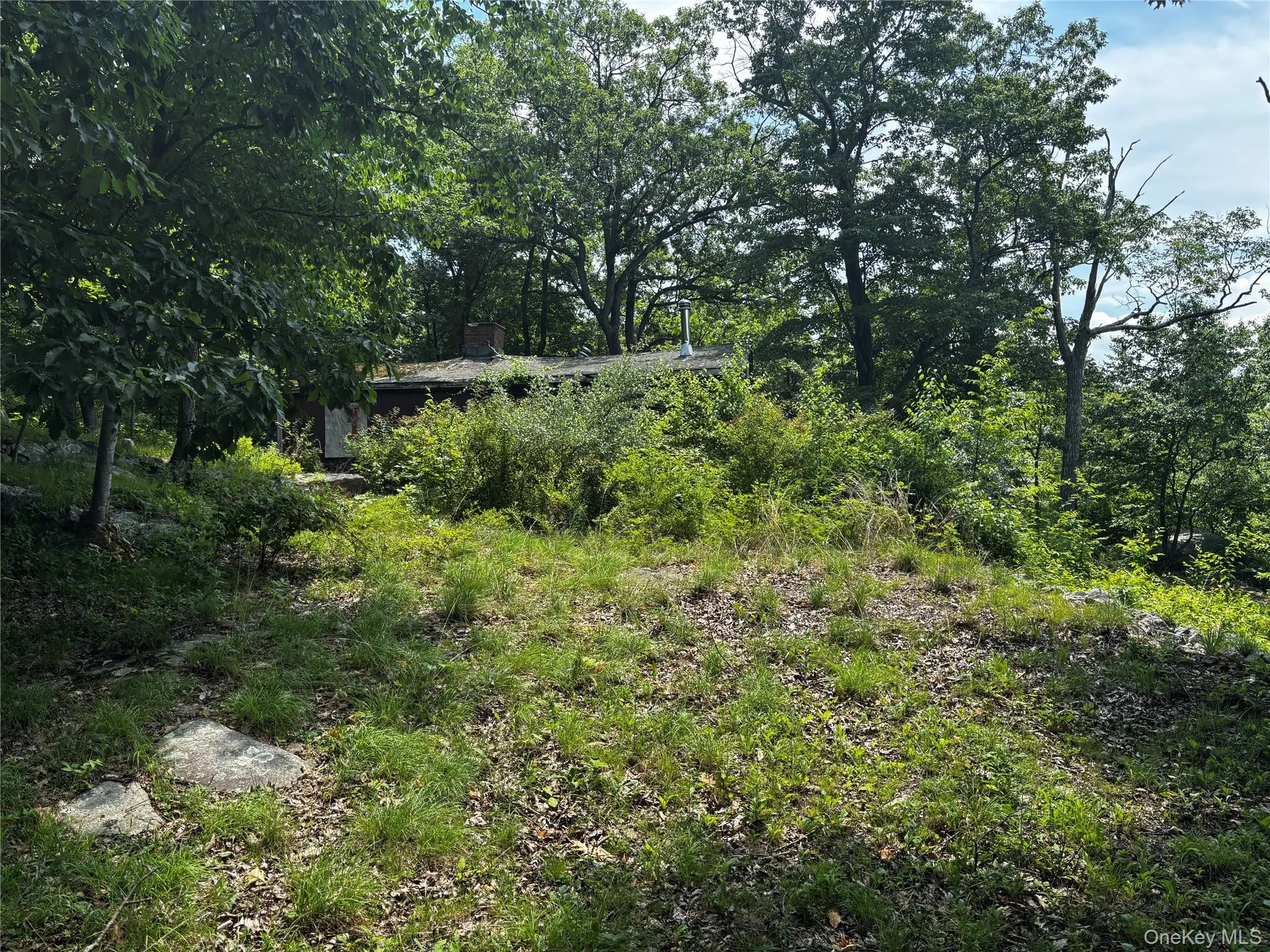 Walking into the lot. Old seasonal cabin in the distance. DO NOT ENTER IT! Walking into the lot. Old seasonal cabin in the distance. DO NOT ENTER IT!