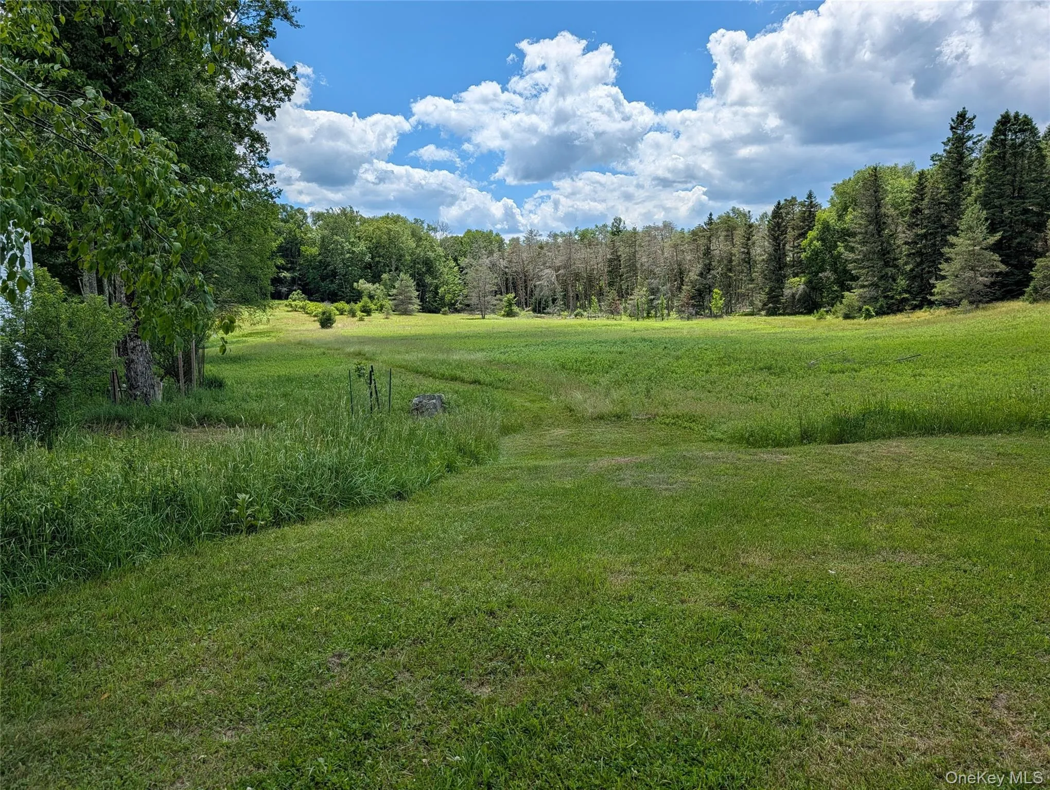Part of the 121 shared acres Part of the 121 shared acres
