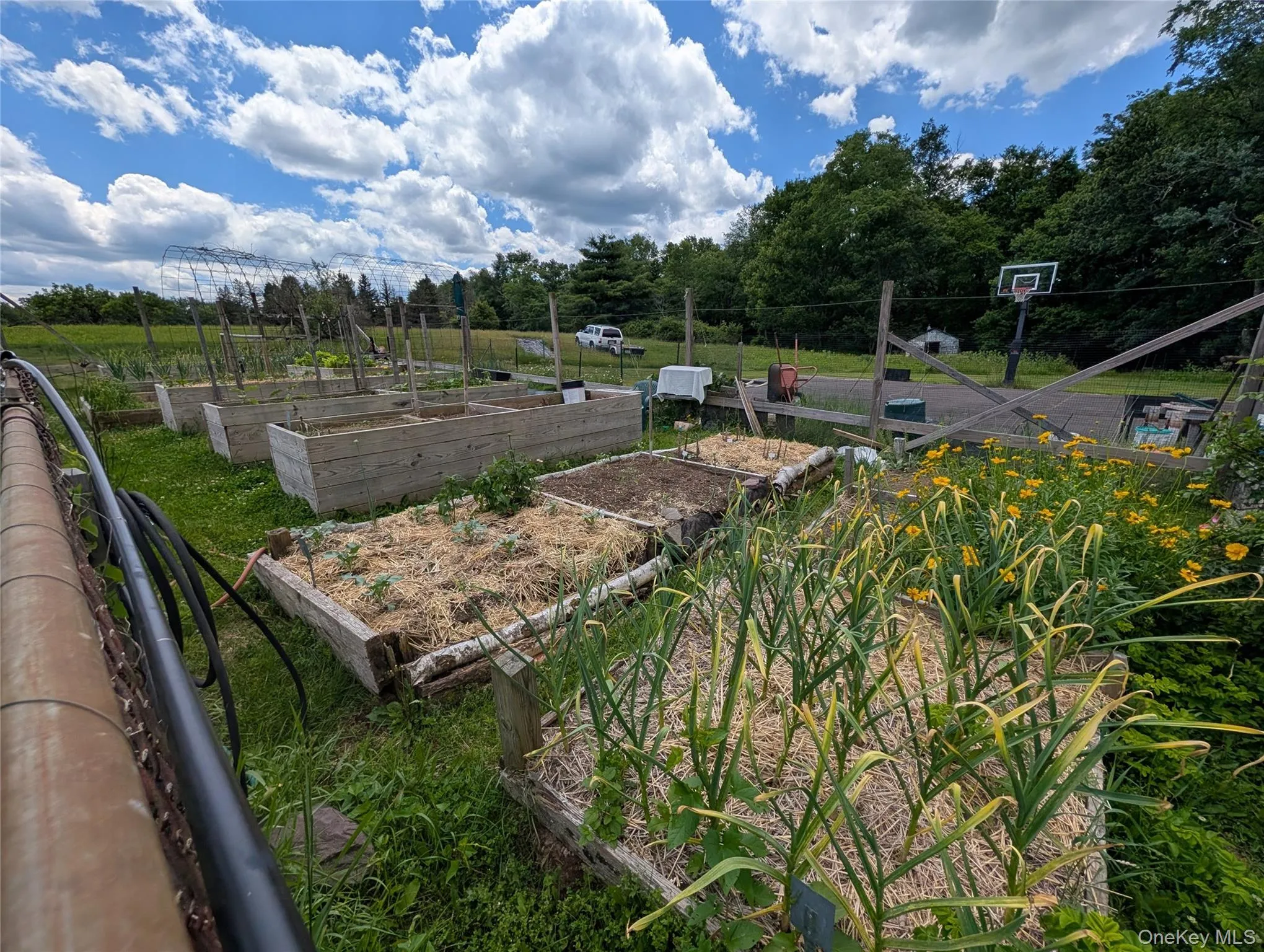 Community garden Community garden