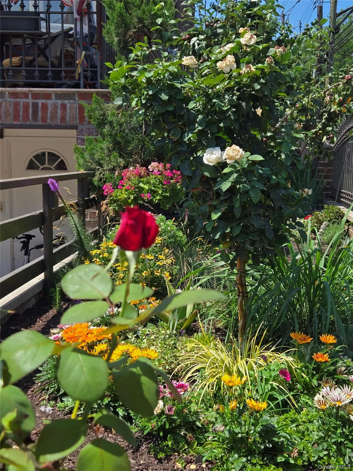 5902 70th Street, New York, NY, 4 Bedrooms Bedrooms, 8 Rooms Rooms,2 BathroomsBathrooms,Residential,For Rent,70th,0,1016176 5902 70th Street, New York, NY, 4 Bedrooms Bedrooms, 8 Rooms Rooms,2 BathroomsBathrooms,Residential,For Rent,70th,0,1016176
