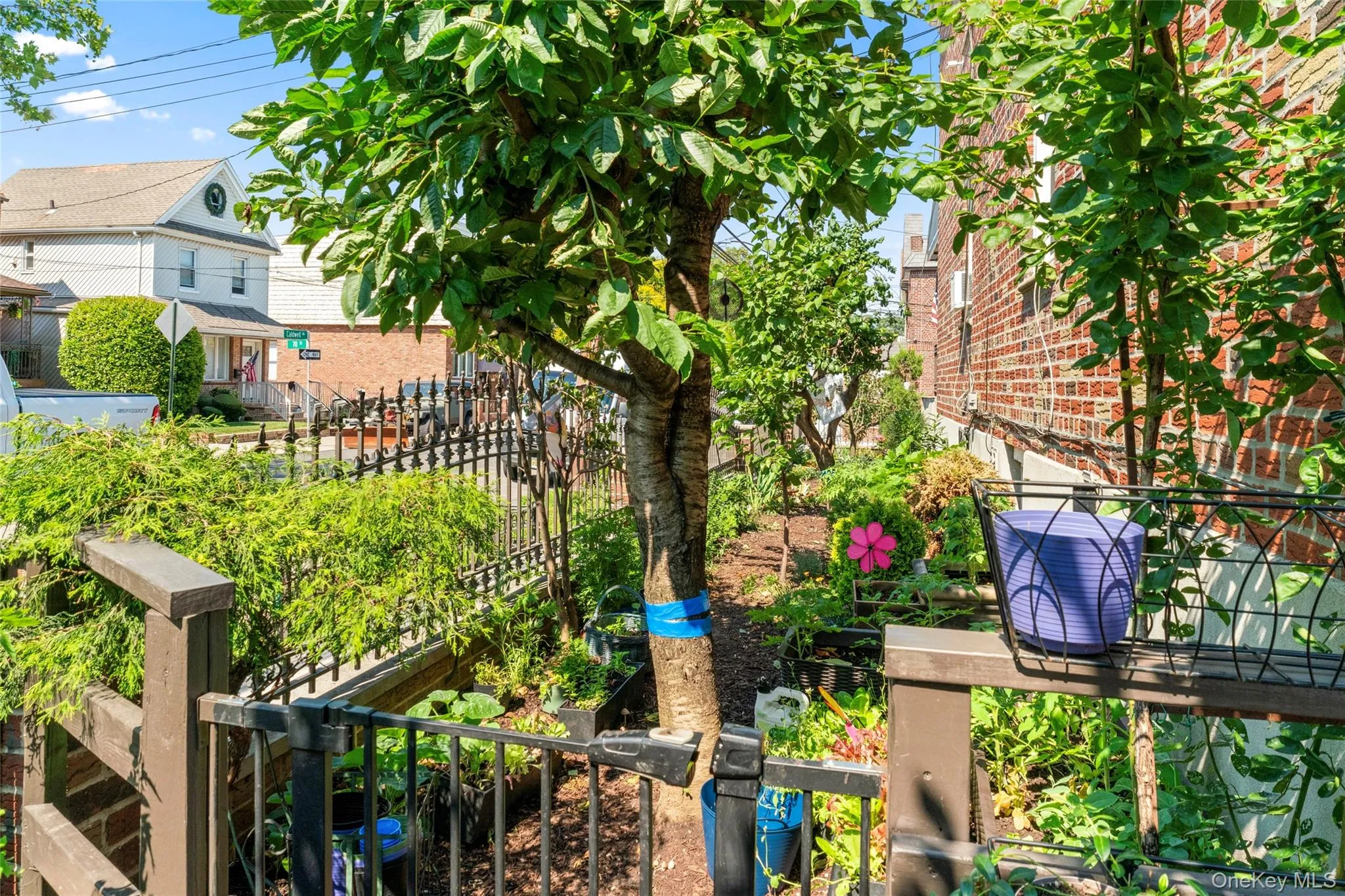 5902 70th Street, New York, NY, 4 Bedrooms Bedrooms, 8 Rooms Rooms,2 BathroomsBathrooms,Residential,For Rent,70th,0,1016176 5902 70th Street, New York, NY, 4 Bedrooms Bedrooms, 8 Rooms Rooms,2 BathroomsBathrooms,Residential,For Rent,70th,0,1016176
