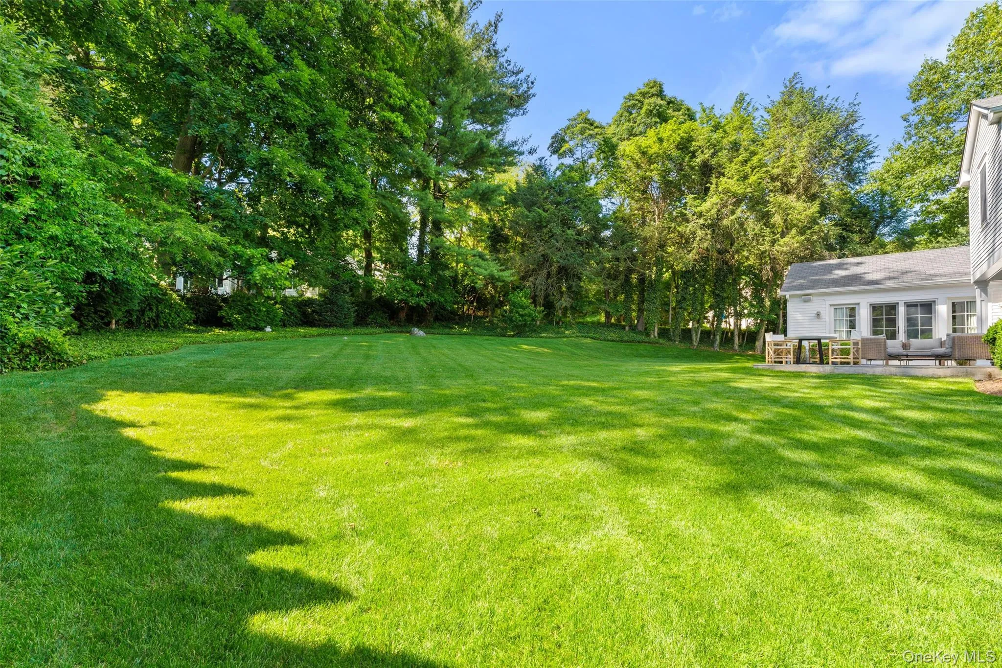 Expansive Yard Expansive Yard