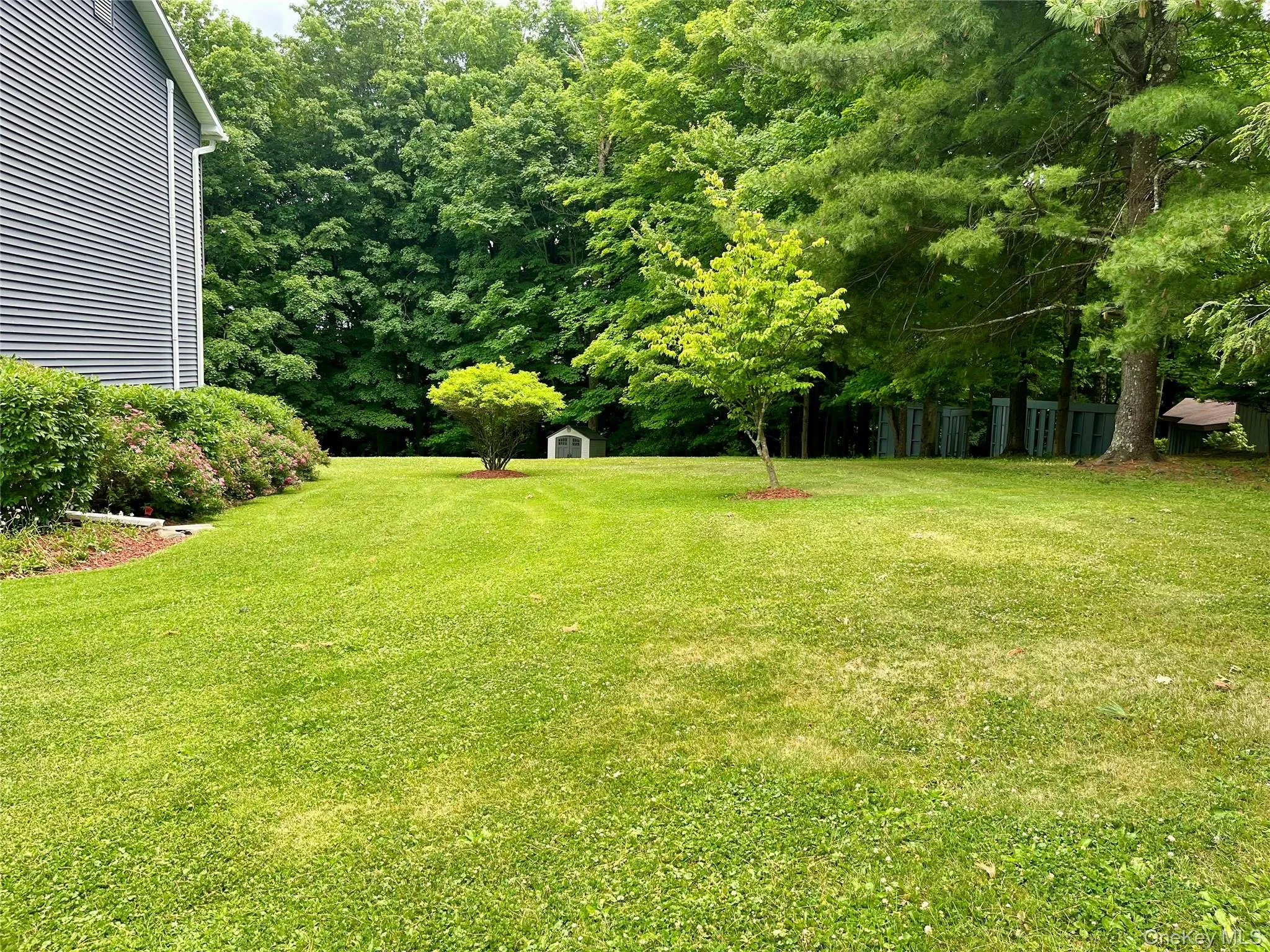 334 Greeves Road, Wawayanda, NY, 5 Bedrooms Bedrooms, 9 Rooms Rooms,4 BathroomsBathrooms,Residential,For Rent,Greeves,0,1016227 334 Greeves Road, Wawayanda, NY, 5 Bedrooms Bedrooms, 9 Rooms Rooms,4 BathroomsBathrooms,Residential,For Rent,Greeves,0,1016227