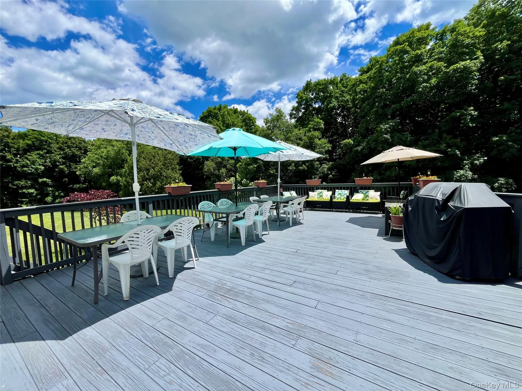 334 Greeves Road, Wawayanda, NY, 5 Bedrooms Bedrooms, 9 Rooms Rooms,4 BathroomsBathrooms,Residential,For Rent,Greeves,0,1016227 334 Greeves Road, Wawayanda, NY, 5 Bedrooms Bedrooms, 9 Rooms Rooms,4 BathroomsBathrooms,Residential,For Rent,Greeves,0,1016227