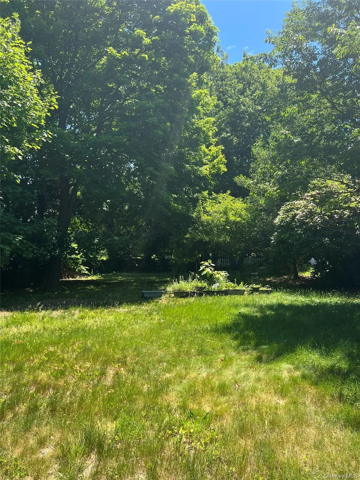 Adjacent Lot – Included in Sale (Front View) Adjacent Lot – Included in Sale (Front View)