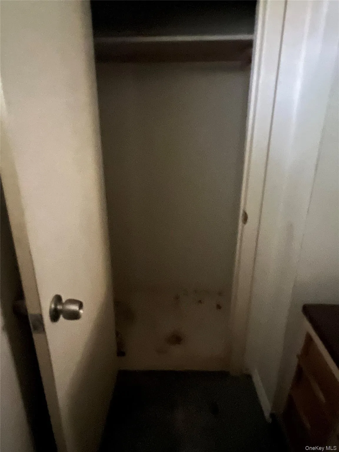 Basement Closet Basement Closet