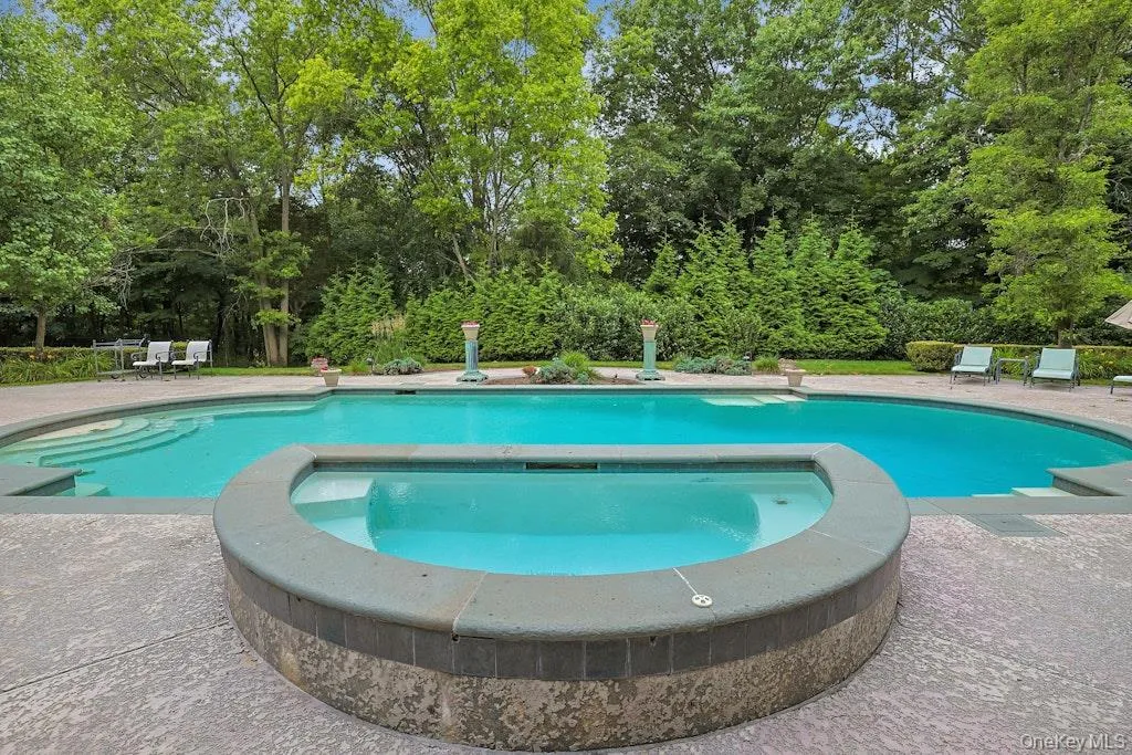 Pool with spa Pool with spa