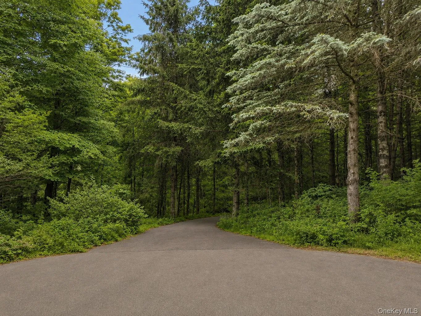 117 Camp Road, Gallatin, NY, 3 Bedrooms Bedrooms, 9 Rooms Rooms,4 BathroomsBathrooms,Residential,For Rent,Camp,0,1016273 117 Camp Road, Gallatin, NY, 3 Bedrooms Bedrooms, 9 Rooms Rooms,4 BathroomsBathrooms,Residential,For Rent,Camp,0,1016273