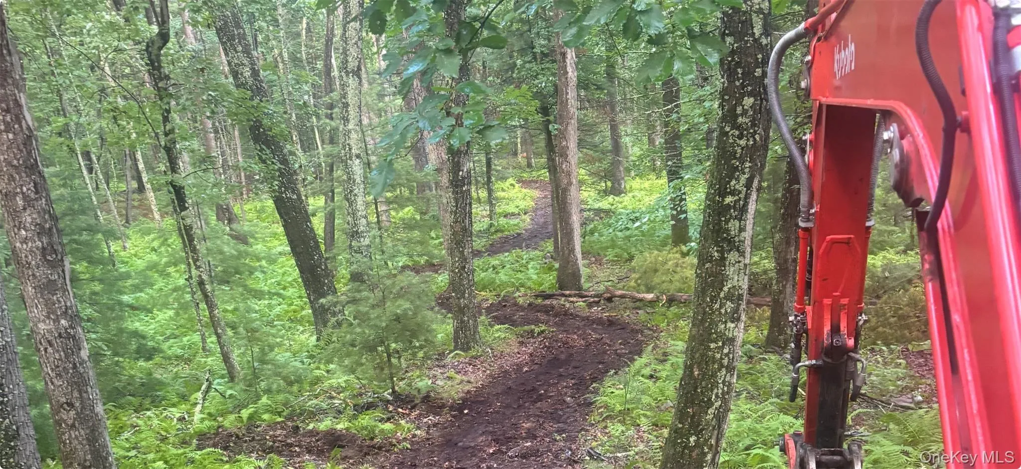Trail leading to the stream Trail leading to the stream