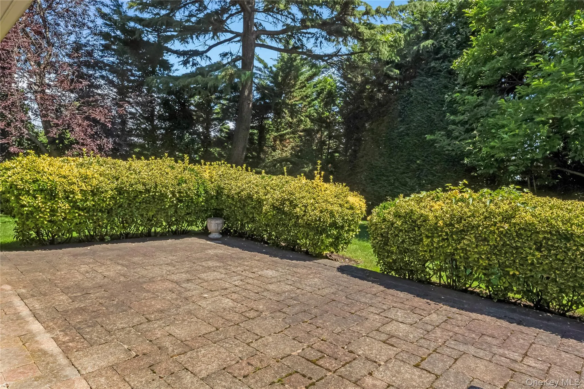 122 Woodmere Boulevard, Hempstead, NY, 5 Bedrooms Bedrooms, 11 Rooms Rooms,4 BathroomsBathrooms,Residential,For Rent,Woodmere,0,1016291 122 Woodmere Boulevard, Hempstead, NY, 5 Bedrooms Bedrooms, 11 Rooms Rooms,4 BathroomsBathrooms,Residential,For Rent,Woodmere,0,1016291