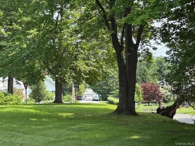 View of green lawn View of green lawn