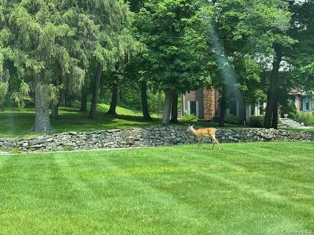 78 Duncan Avenue, Cornwall, NY, 1 Bedroom Bedrooms, 3 Rooms Rooms,1 BathroomBathrooms,Residential Lease,For Rent,Duncan,0,KEY1016297 78 Duncan Avenue, Cornwall, NY, 1 Bedroom Bedrooms, 3 Rooms Rooms,1 BathroomBathrooms,Residential Lease,For Rent,Duncan,0,KEY1016297