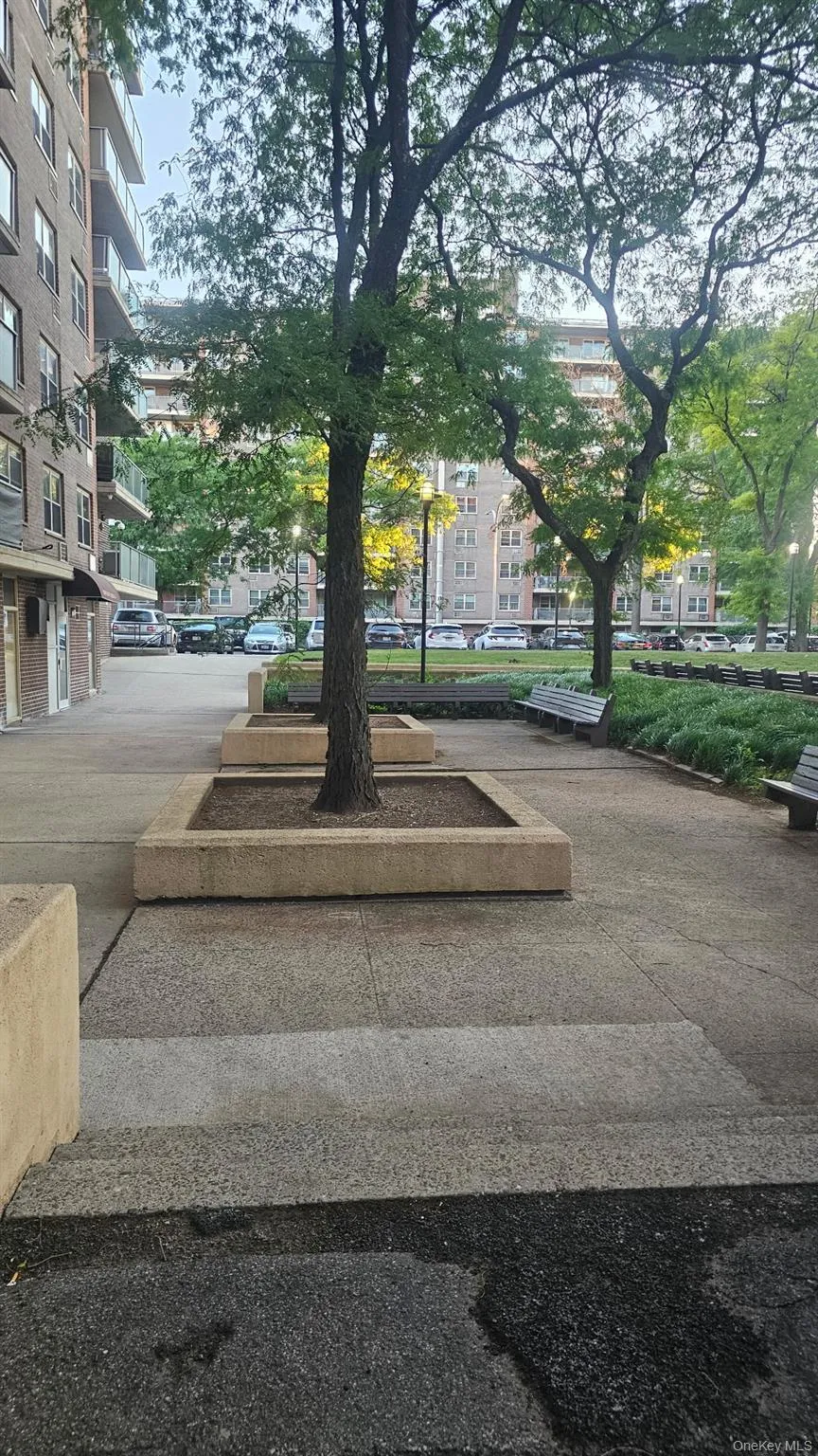 12399 Flatlands Avenue, New York, NY, 3 Rooms Rooms,1 BathroomBathrooms,Residential Lease,For Rent,Flatlands,0,1016303 12399 Flatlands Avenue, New York, NY, 3 Rooms Rooms,1 BathroomBathrooms,Residential Lease,For Rent,Flatlands,0,1016303