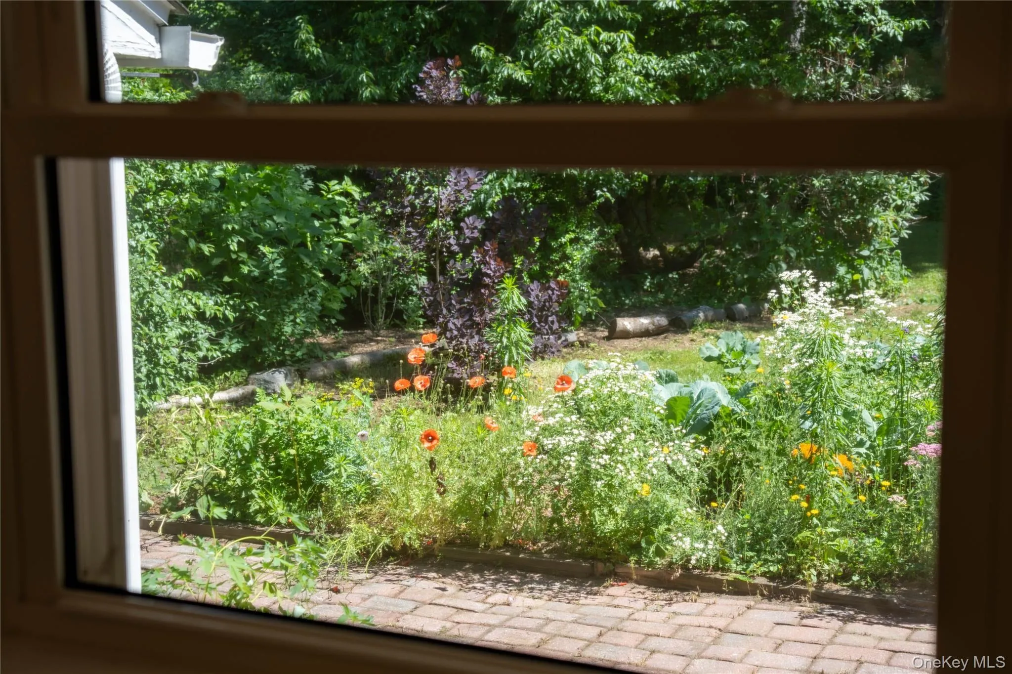 View from the dining room overlooking the garden bed View from the dining room overlooking the garden bed