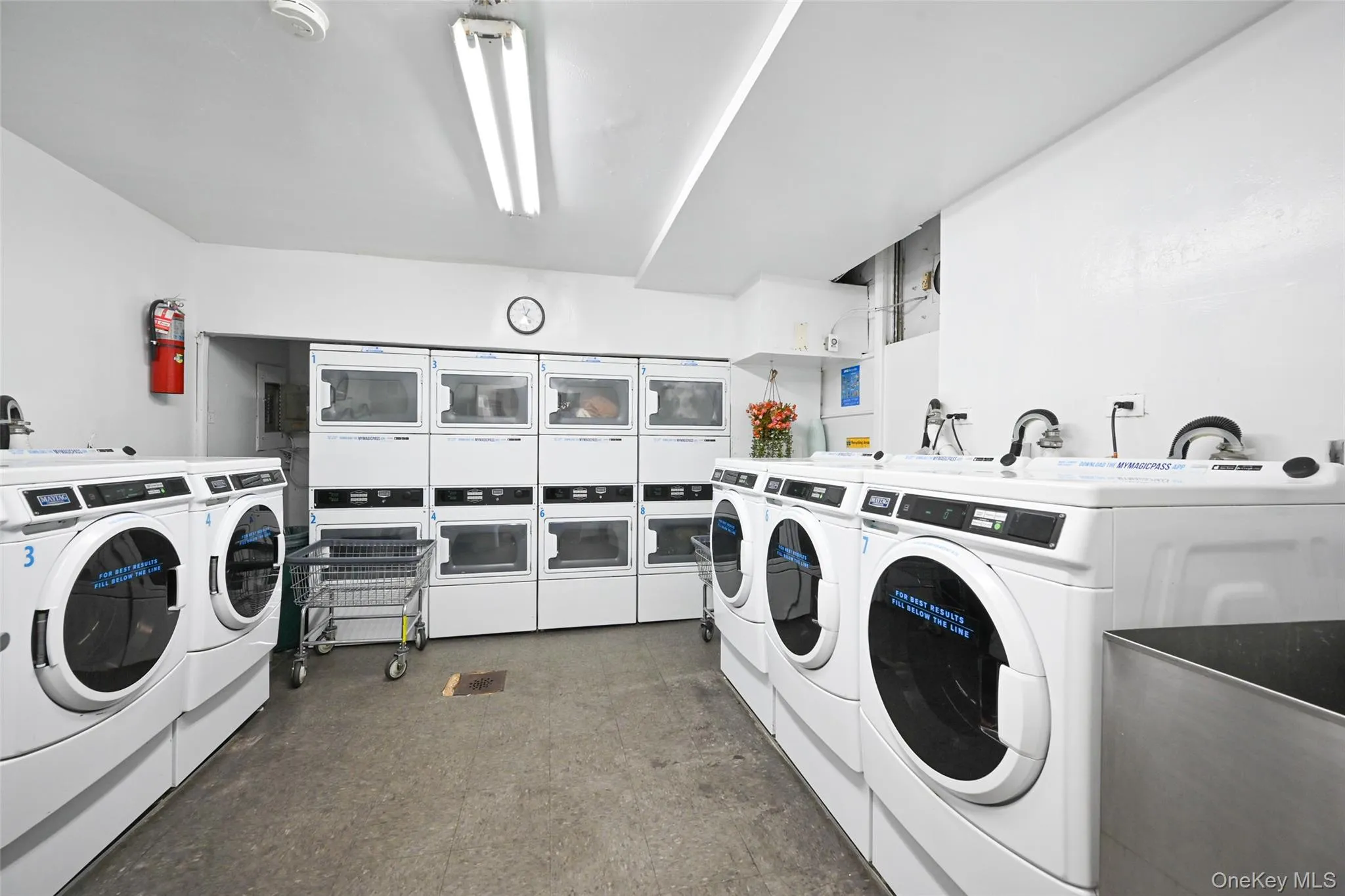 84-70 129th Street, New York, NY, 1 Bedroom Bedrooms, 4 Rooms Rooms,1 BathroomBathrooms,Residential,For Rent,129th,0,1016350 84-70 129th Street, New York, NY, 1 Bedroom Bedrooms, 4 Rooms Rooms,1 BathroomBathrooms,Residential,For Rent,129th,0,1016350