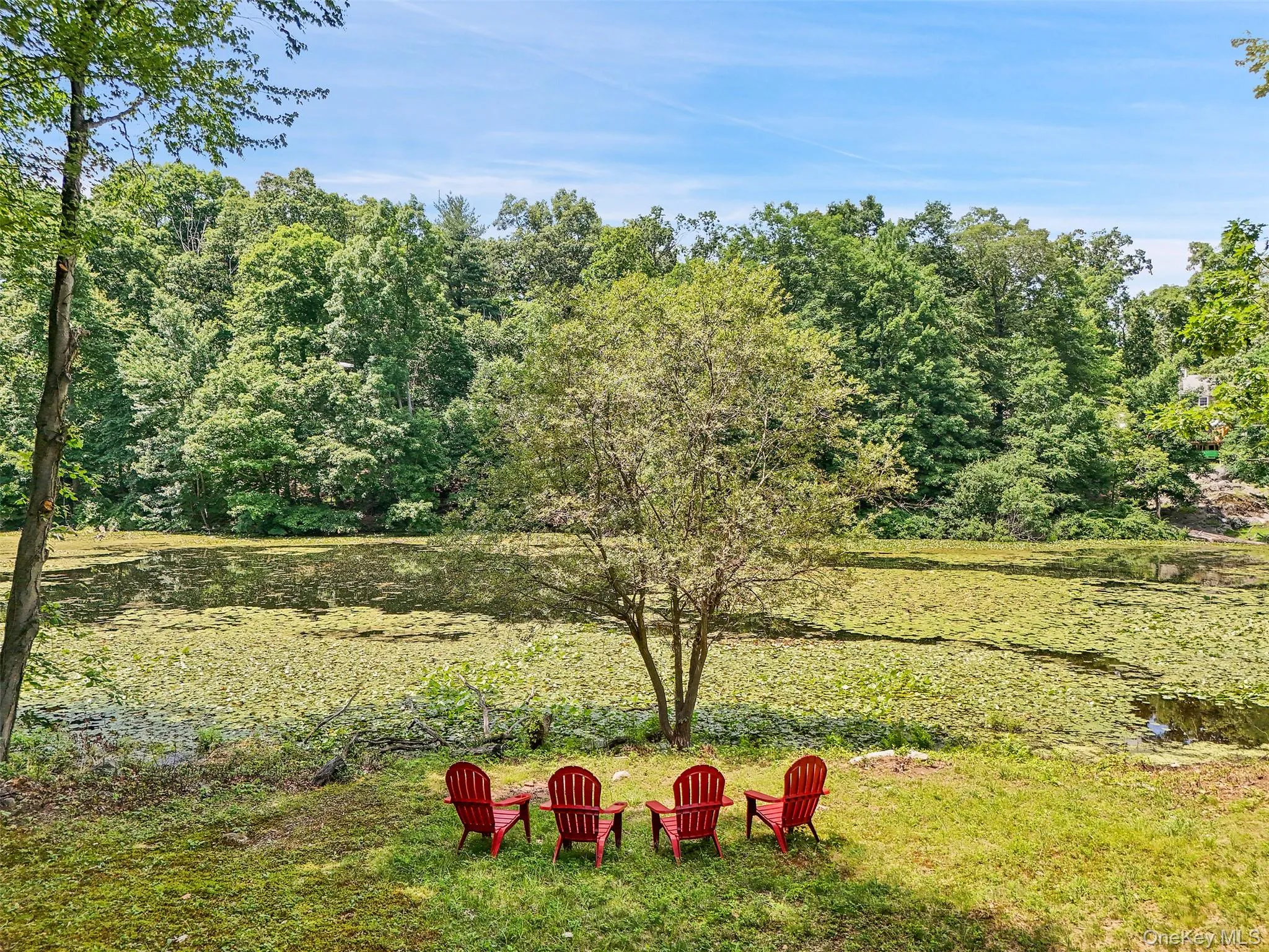 18 Sylvan Road, Putnam Valley, NY, 4 Bedrooms Bedrooms, 10 Rooms Rooms,3 BathroomsBathrooms,Residential,For Rent,Sylvan,0,1016393 18 Sylvan Road, Putnam Valley, NY, 4 Bedrooms Bedrooms, 10 Rooms Rooms,3 BathroomsBathrooms,Residential,For Rent,Sylvan,0,1016393