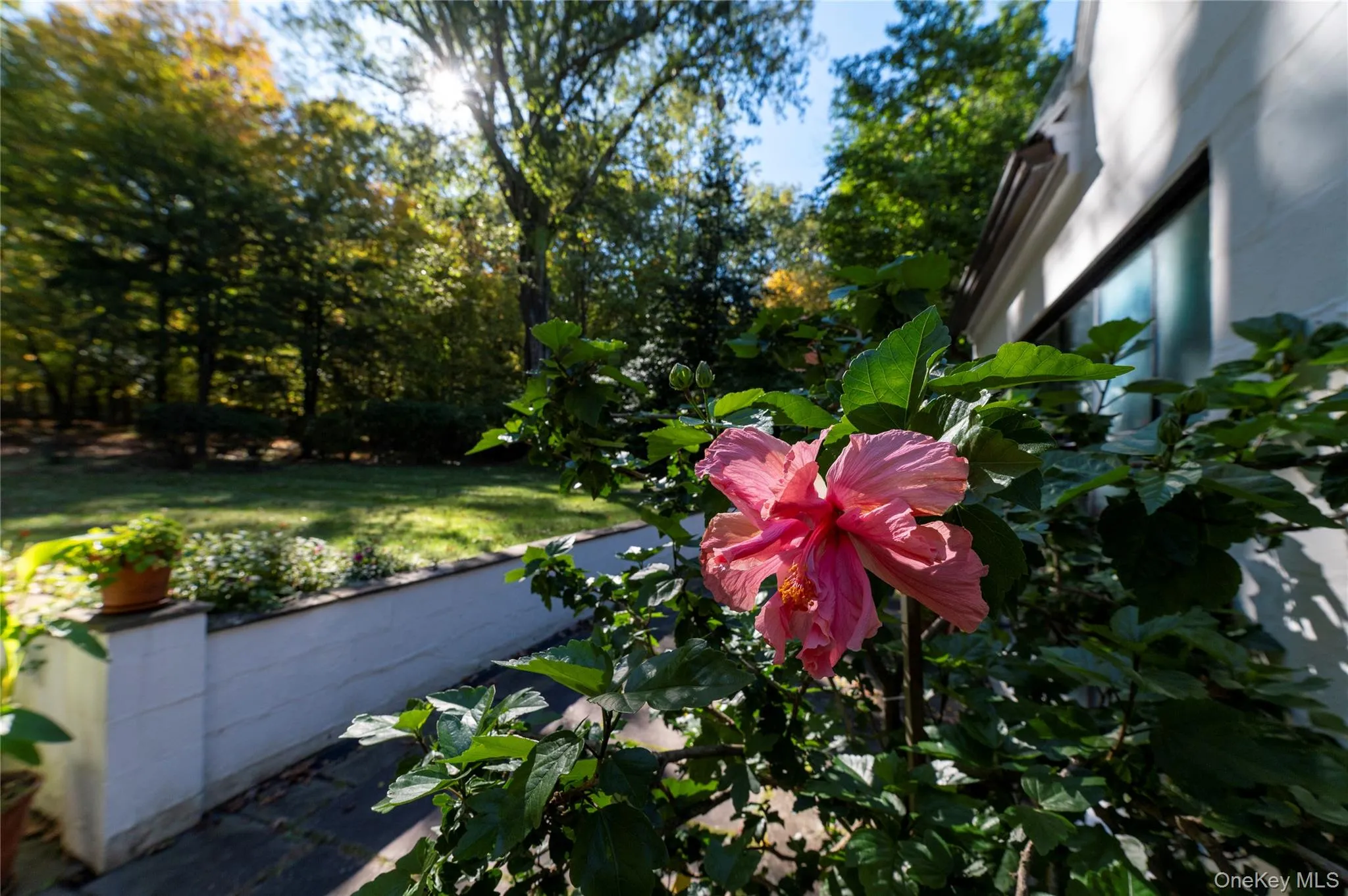 164 Mountain Road, Clarkstown, NY, 6 Bedrooms Bedrooms, 18 Rooms Rooms,7 BathroomsBathrooms,Residential,For Rent,Mountain,0,1016409 164 Mountain Road, Clarkstown, NY, 6 Bedrooms Bedrooms, 18 Rooms Rooms,7 BathroomsBathrooms,Residential,For Rent,Mountain,0,1016409