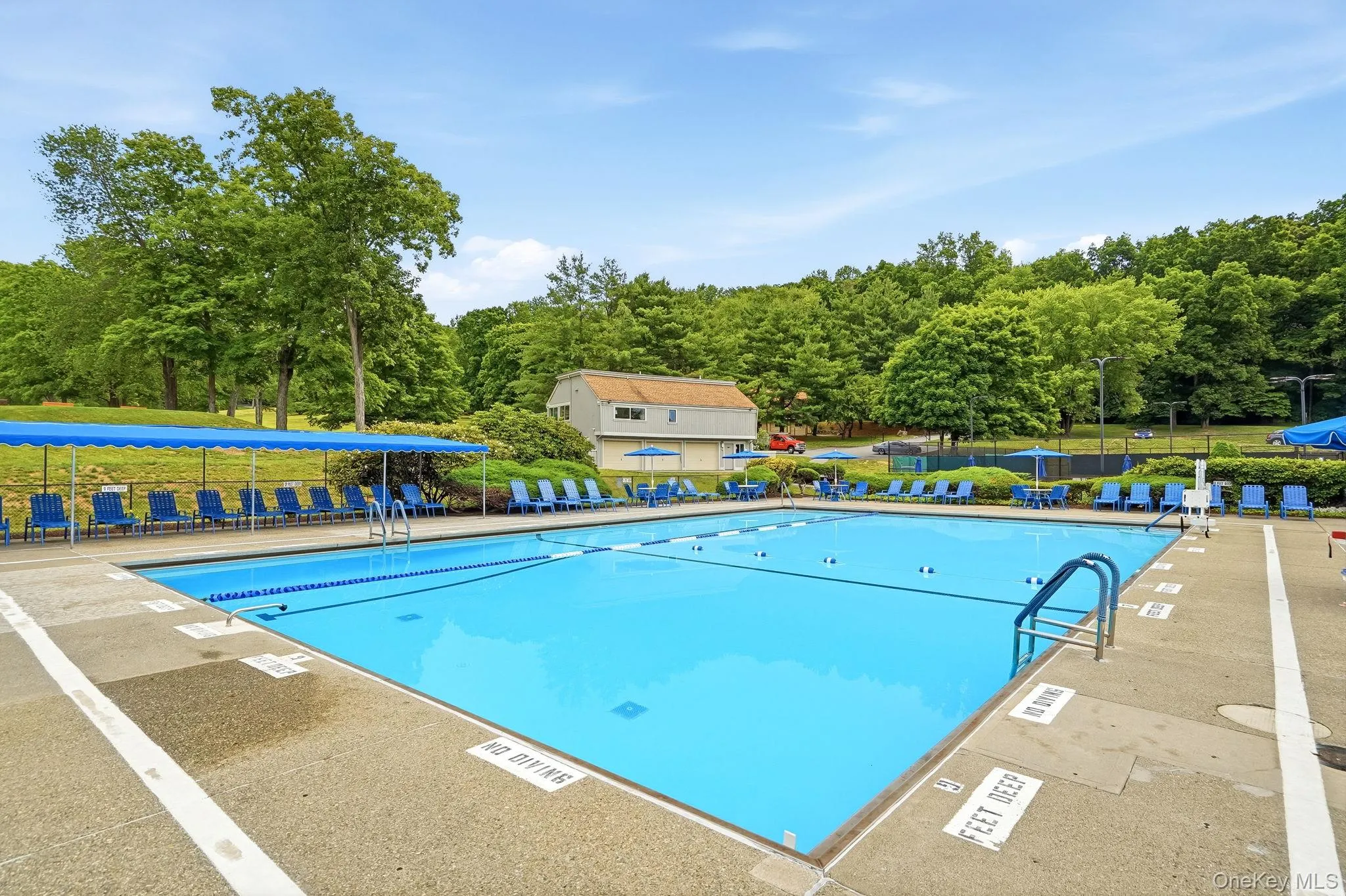 Main Pool Main Pool