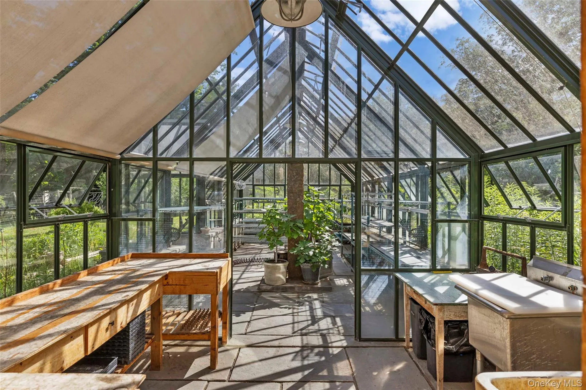 Spacious greenhouse with potting benches, utility sink, and abundant natural light for year-round cultivation Spacious greenhouse with potting benches, utility sink, and abundant natural light for year-round cultivation