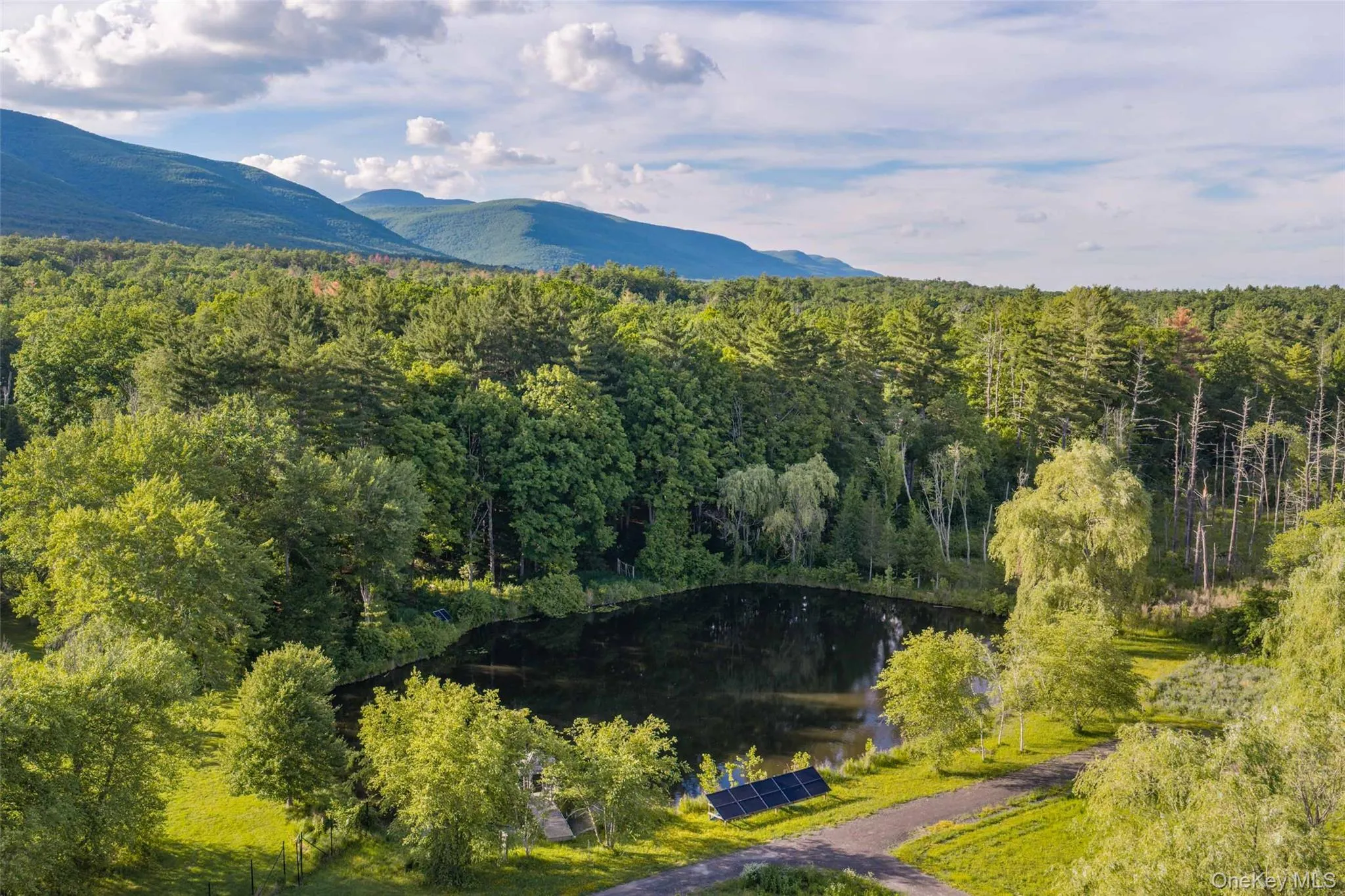 The estate’s spring-fed pond enjoys a peaceful setting framed by mature trees and the Catskill Mountains The estate’s spring-fed pond enjoys a peaceful setting framed by mature trees and the Catskill Mountains