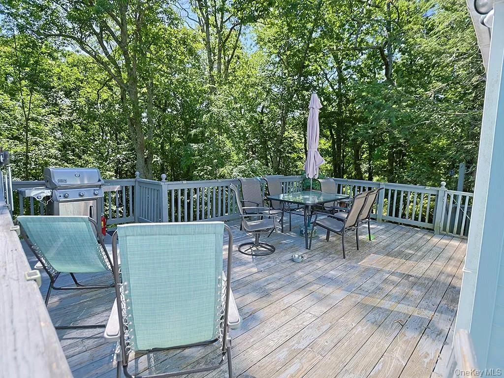 16 Highview Avenue, Mamakating, NY, 2 Bedrooms Bedrooms, 6 Rooms Rooms,1 BathroomBathrooms,Residential,For Rent,Highview,0,KEY1016442 16 Highview Avenue, Mamakating, NY, 2 Bedrooms Bedrooms, 6 Rooms Rooms,1 BathroomBathrooms,Residential,For Rent,Highview,0,KEY1016442