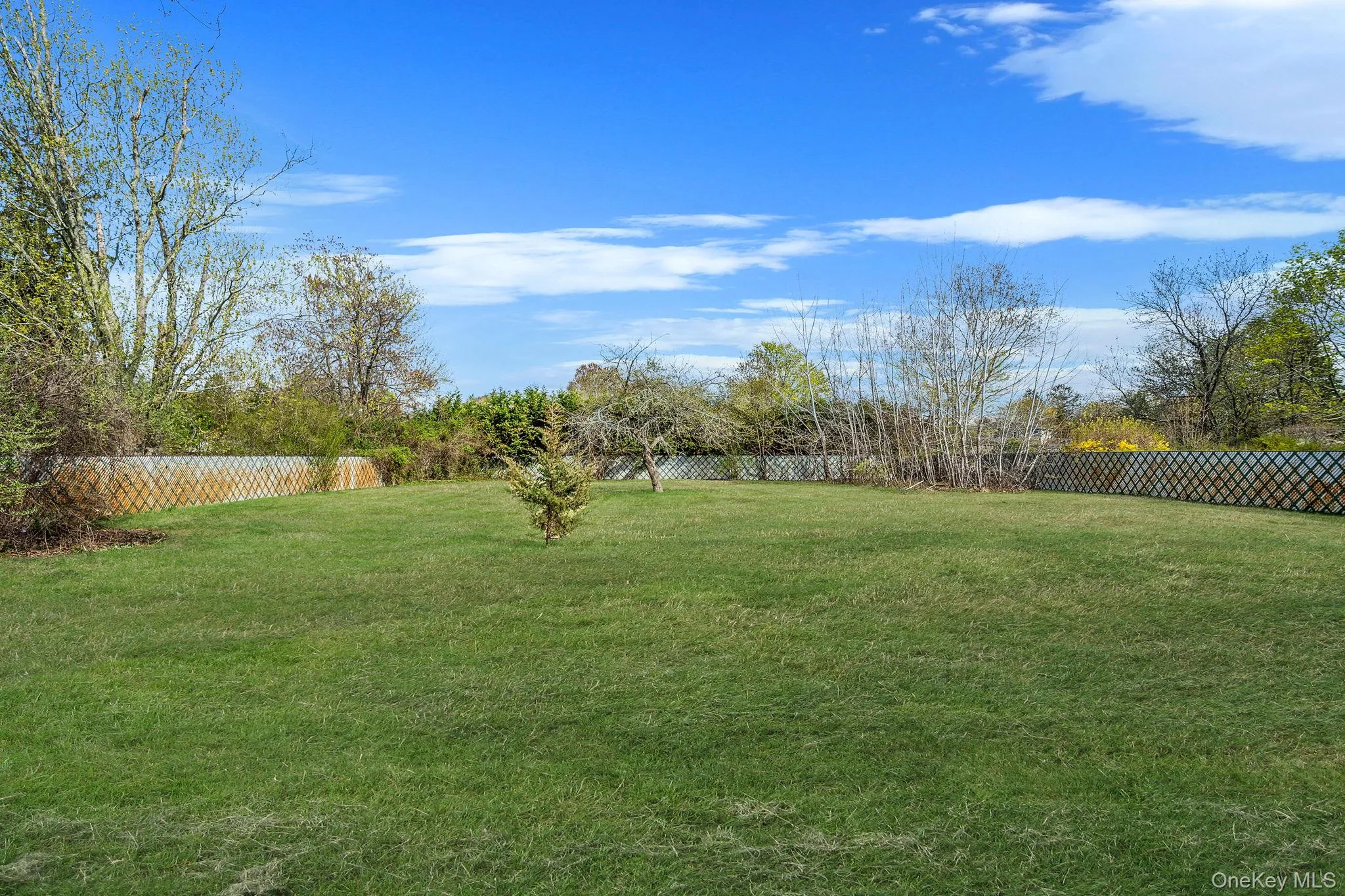 25 Greentree Drive, Islip, NY, 3 Bedrooms Bedrooms, 11 Rooms Rooms,1 BathroomBathrooms,Residential,For Rent,Greentree,0,1016458 25 Greentree Drive, Islip, NY, 3 Bedrooms Bedrooms, 11 Rooms Rooms,1 BathroomBathrooms,Residential,For Rent,Greentree,0,1016458