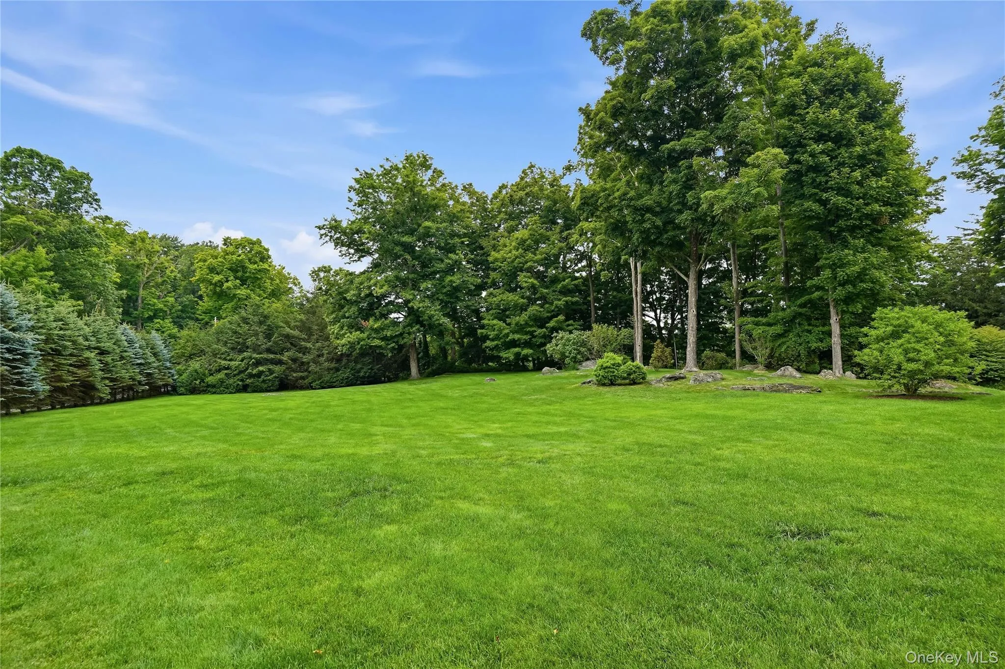 Expansive lawn Expansive lawn